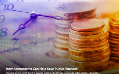 How accountants can help save public finances